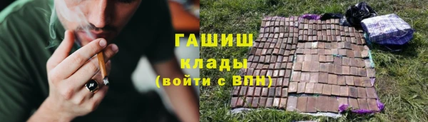 шишки Козловка