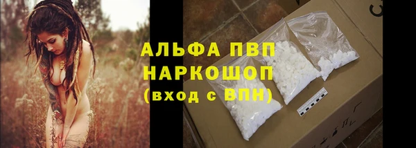 шишки Козловка