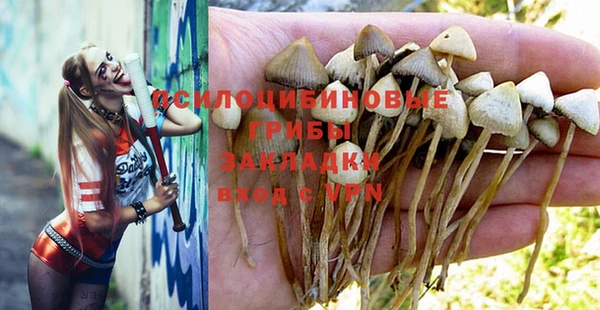 шишки Козловка