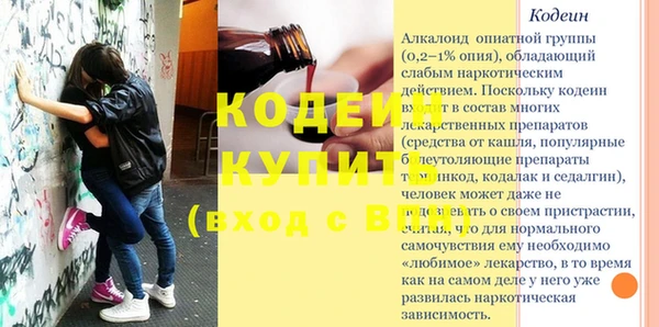 шишки Козловка