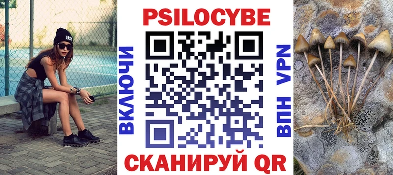 Купить где Краснознаменск Галлюциногенные грибы Psilocybe